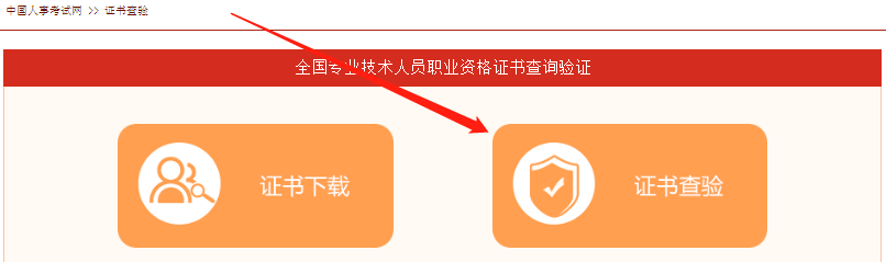 如何分辨真假證書？