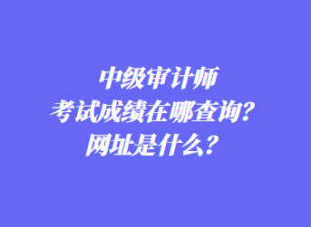 中級(jí)審計(jì)師考試成績在哪查詢？網(wǎng)址是什么？