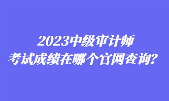 2023中級審計師考試成績在哪個官網(wǎng)查詢？