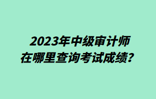 2023年中級(jí)審計(jì)師在哪里查詢考試成績(jī)？