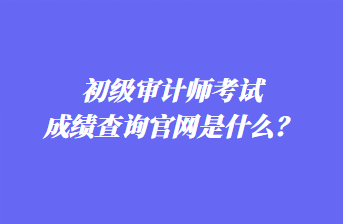 初級(jí)審計(jì)師考試成績查詢官網(wǎng)是什么？