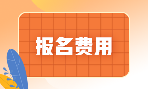 報名費(fèi)用2