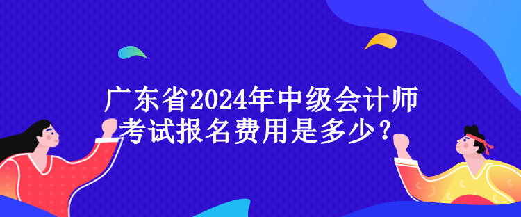 廣東省2024年中級(jí)會(huì)計(jì)師考試報(bào)名費(fèi)用是多少？