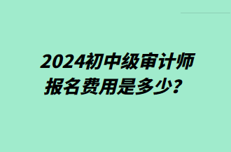 2024初中級審計師報名費用是多少？