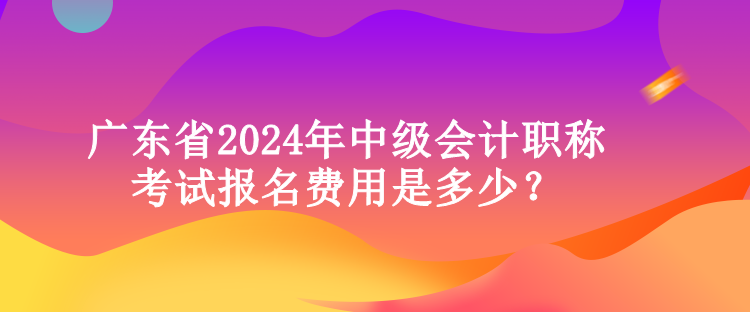 廣東省2024年中級(jí)會(huì)計(jì)職稱考試報(bào)名費(fèi)用是多少？