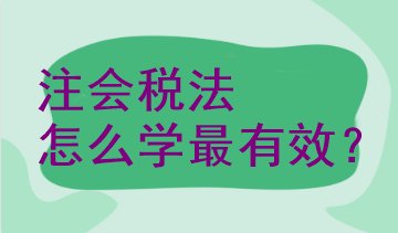 注會稅法怎么學(xué)最有效？