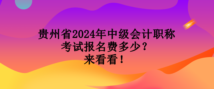 貴州省2024年中級會計職稱考試報名費多少？來看看！