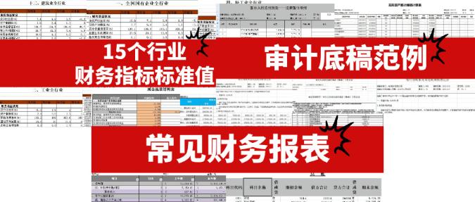 審計(jì)相關(guān)實(shí)操資料
