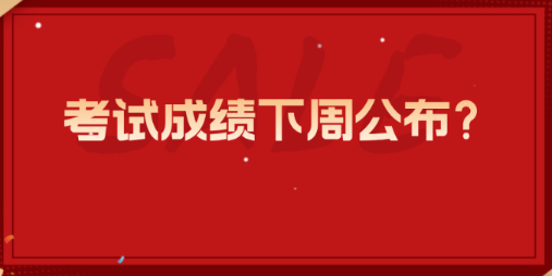 注會(huì)考試成績(jī)下周公布？
