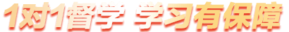 1對(duì)1督學(xué) 學(xué)習(xí)有保障
