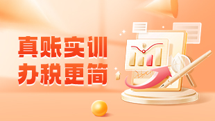 真賬實訓(xùn)，辦稅更簡