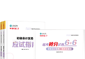 初級(jí)會(huì)計(jì)夢(mèng)想成真輔導(dǎo)書(shū)